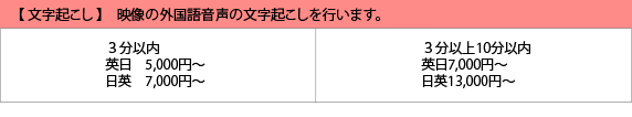 翻訳料金